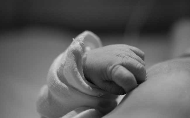 newborn baby hand by michelle lazur photographer in westmoreland county pa