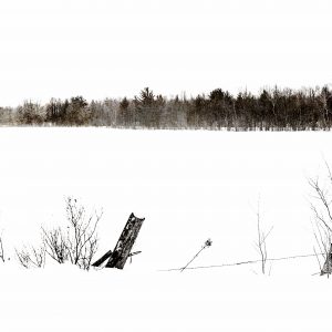 Winter's Edge Print by Michelle Lazur