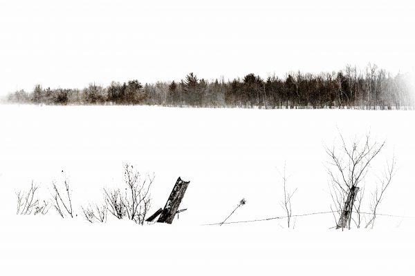 Winter's Edge Print by Michelle Lazur
